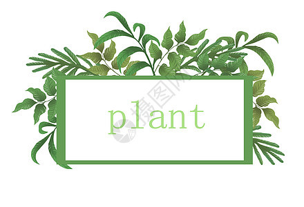 植物叶子素材背景图片