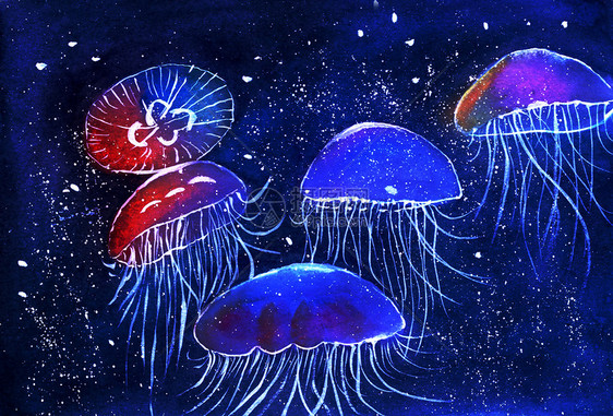唯美插画 水彩手绘水母.