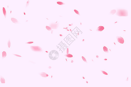 粉色樱花花瓣背景图片