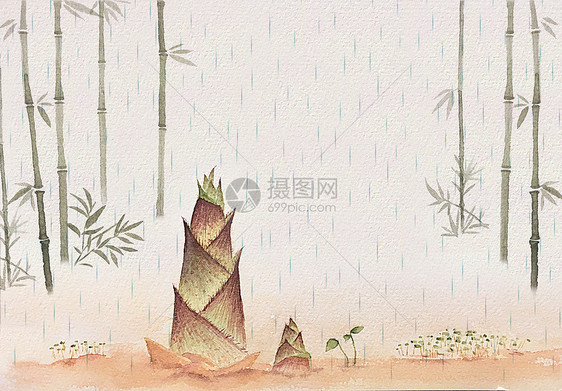 清明初雨和笋图片