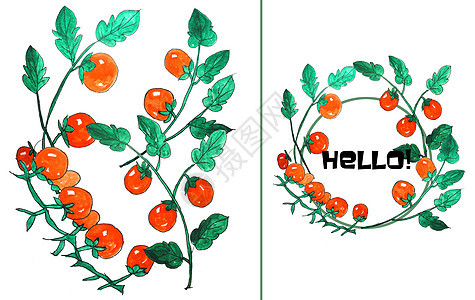 手绘水彩西红柿背景图片