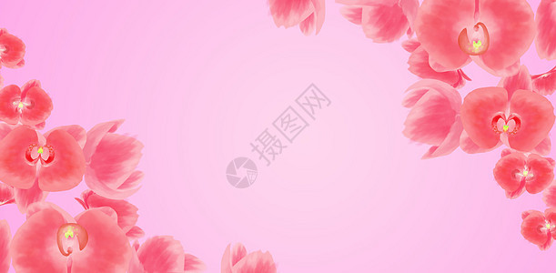 粉色花卉背景素材背景图片