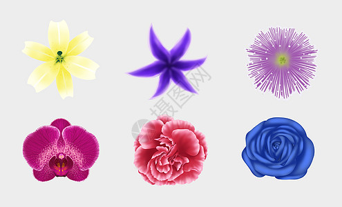 花卉元素素材背景图片
