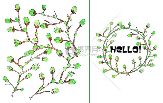 手绘水彩山楂树新芽图片