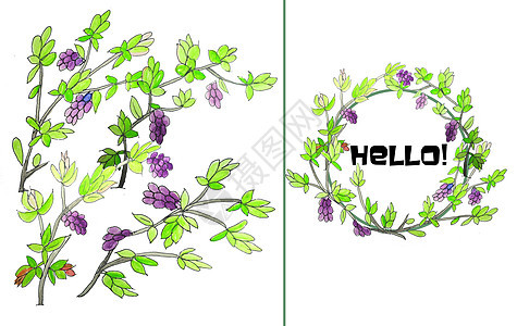 手绘水彩紫丁香幼芽图片