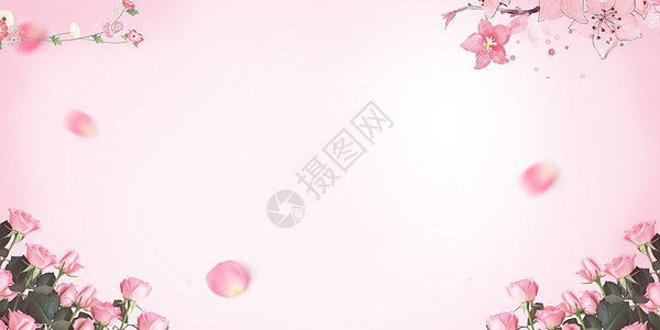 玫瑰冰粉粉色鲜花创意背景设计图片