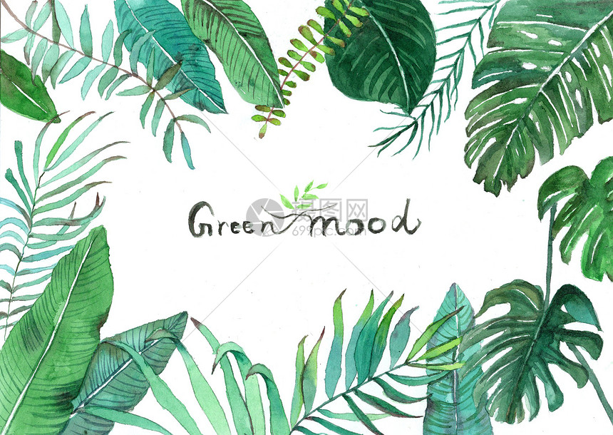 水彩手绘北欧绿植