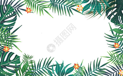 热带叶子背景素材图片