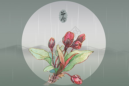 谷雨时节图片