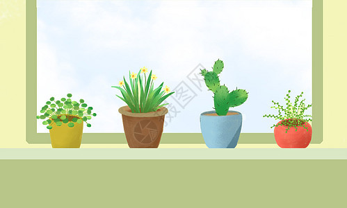 盆栽植物背景素材图片