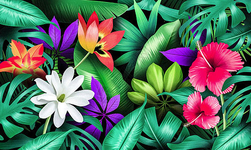 热带植物花卉背景图片