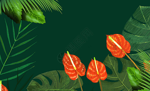 花卉植物背景背景图片