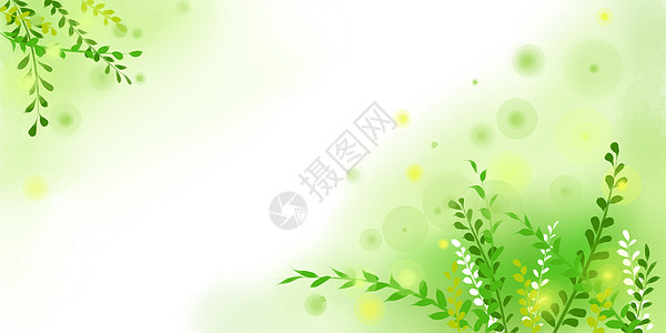 叶子植物背景图片