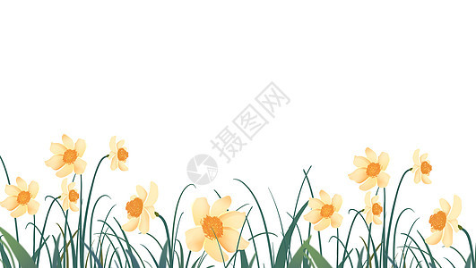 花卉插画背景背景图片
