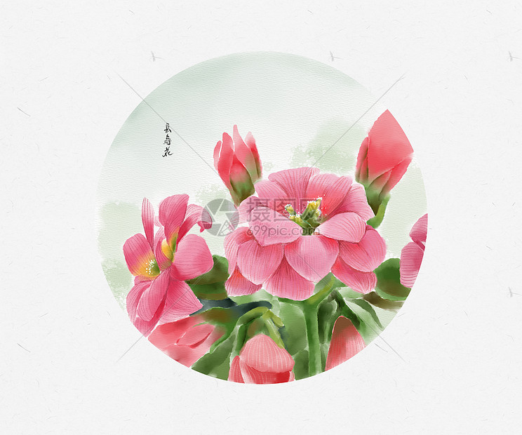 长寿花手绘插画插画图片下载 正版图片 摄图网 长寿花手绘插画插画图片下载 正版图片 摄图网