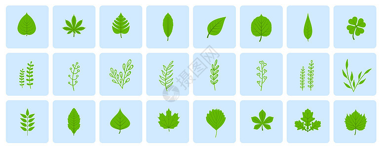 绿色树叶图标图片