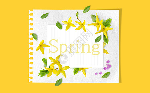 黄色花朵春季背景图片