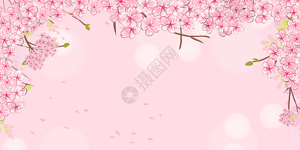 春背景素材图片 春背景素材素材 春背景素材高清图片 摄图网图片下载 春背景素材图片 春背景素材素材 春背景素材高清图片 摄图网图片下载