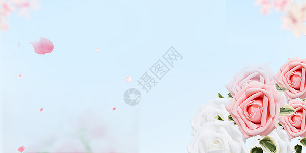 蓝色玫瑰花浪漫清新玫瑰花背景设计图片