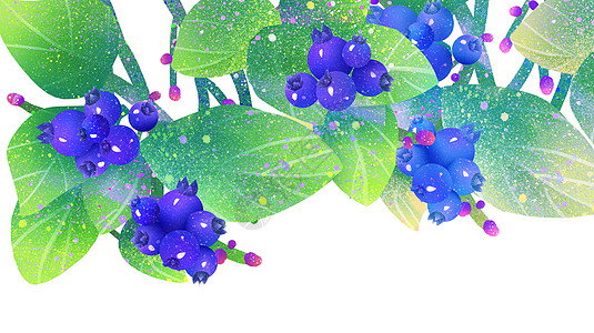蓝莓果实插画图片