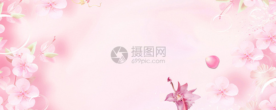 粉嫩樱花背景图片