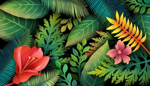 热带的花卉背景插画