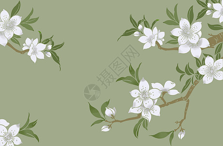 白色清新水花效果元素花卉元素背景插画