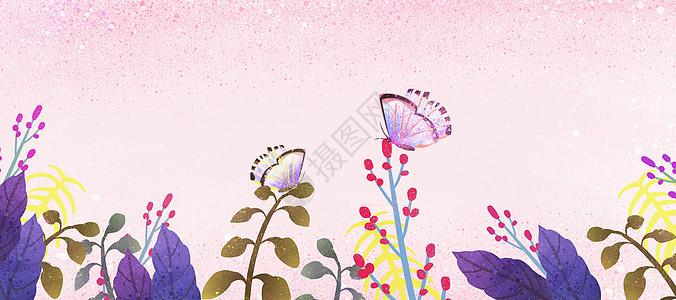 彩色蝴蝶花卉插画背景图片