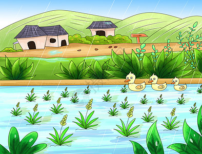 谷雨水稻鸭子高清图片