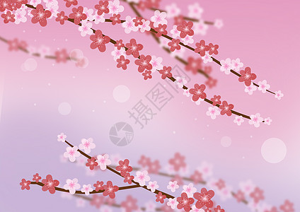 粉红樱花图片