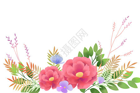 小清新花卉边框背景图片