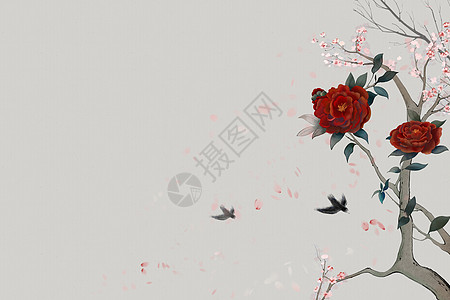 中国风工笔花卉背景图片
