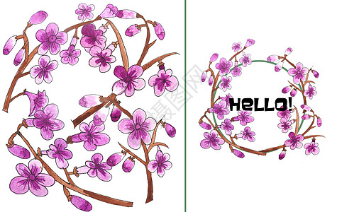 梧桐花图片 梧桐花素材 梧桐花高清图片 摄图网图片下载