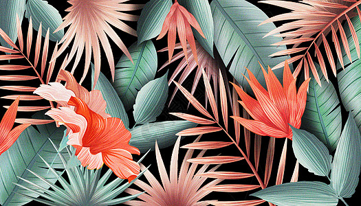 花卉热带植物背景图片