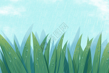 雨水 小草二十四节气 雨水插画