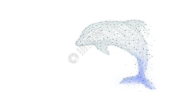 生态海洋海豚创意线条背景设计图片