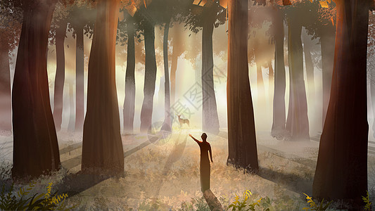 深秋迷雾的森林背景图片