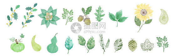 小清新植物素材图片