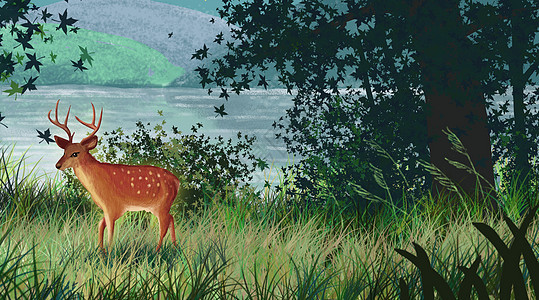 湖边树林的鹿图片