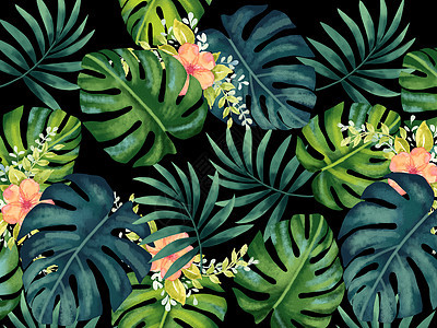 热带水彩花卉背景图片