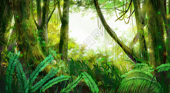 夏日树林-热带丛林图片