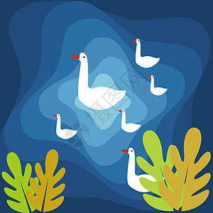 夏天湖水的鸭群背景图片