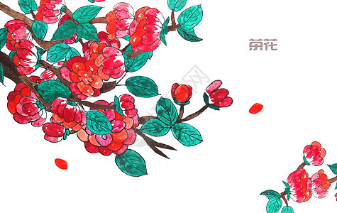 手绘水彩牵牛花插画图片下载 正版图片 摄图网