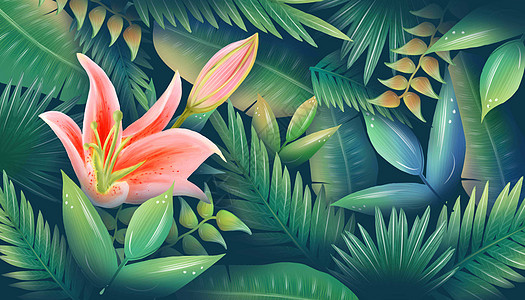 花卉叶子植物背景背景图片
