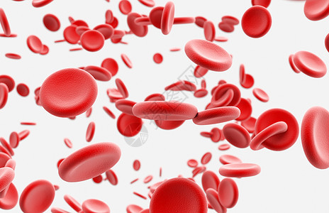 血红细胞场景图片