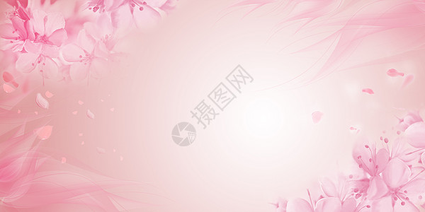 粉红色背景粉色花卉背景设计图片