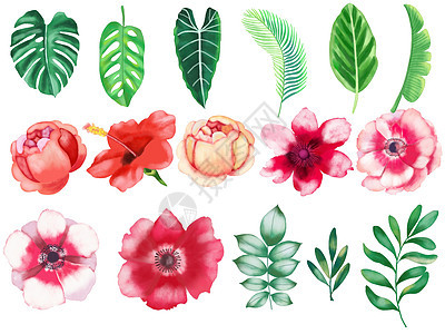 水彩花素材图片 水彩花素材素材 水彩花素材模板下载 摄图网