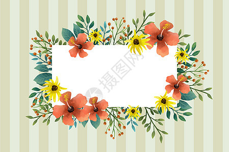 条纹底纹花卉植被边框图片