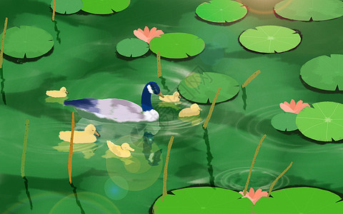 立夏野鸭戏水插画图片