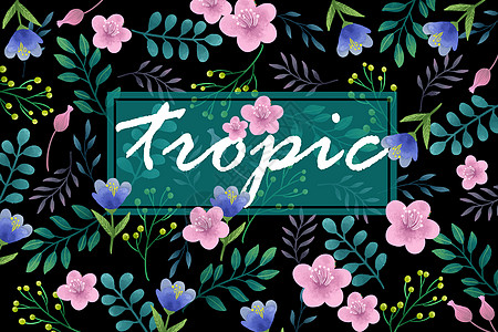 黑底背景热带花卉植被边框字母边框插画